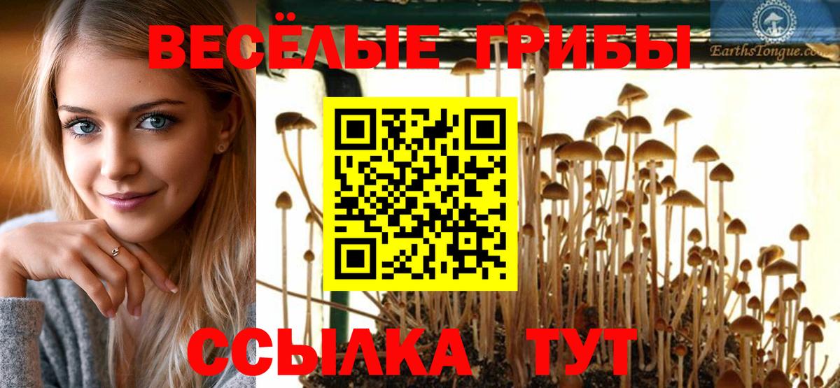 Галлюциногенные грибы мицелий  Псилоцибиновые грибы Magic Shrooms  Мурманск  Вход с VPN 